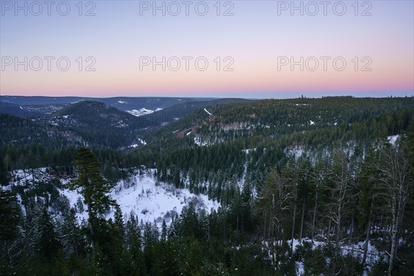 View from the Ellbachseeblick viewing platform