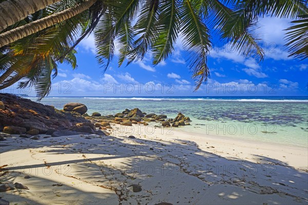 Dream beach Anse Baleine