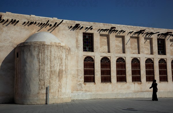 Arabian horse breeding stables in Al Jasra