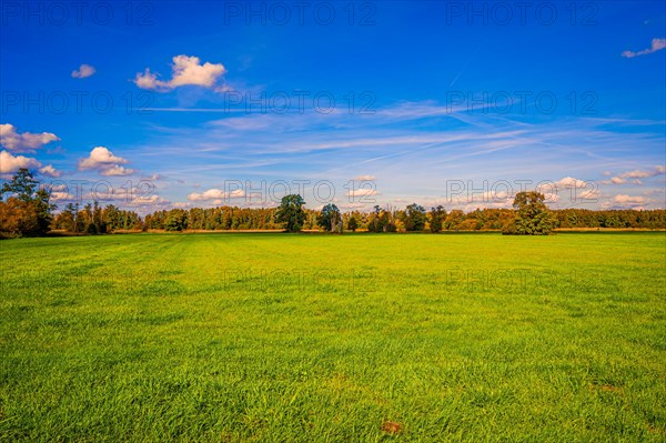 A fallow grain field covered with grass in autumn