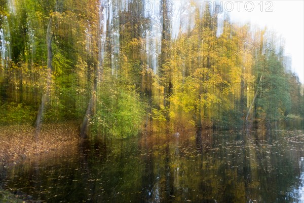 Autumnal coloured trees at a pond
