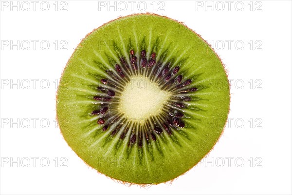 Fresh kiwi isolated on white background