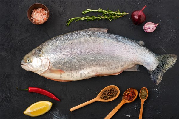 Raw tasmanian ocean trout with spice and herbs on black concrete background