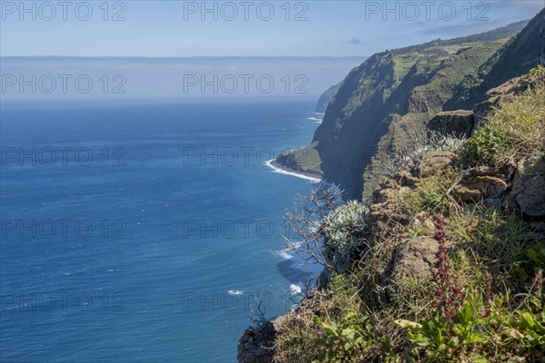 Ponta do Pargo coast