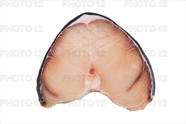 Top view of blue shark steak isolated on white background