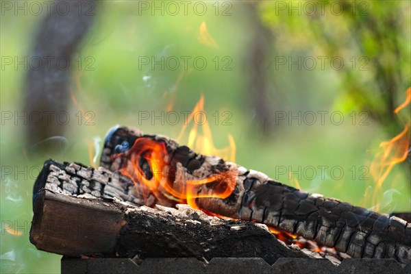 Close up view of burning firewood in the fire outdoor