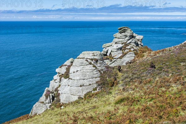 Coastline of the Island of Lundy