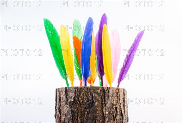 Collection of bright colored feathers on a wooden log