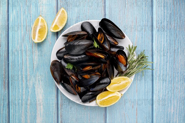 Gourmet mussels dish flat lay