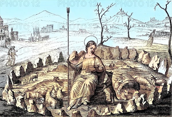 The good shepherdess