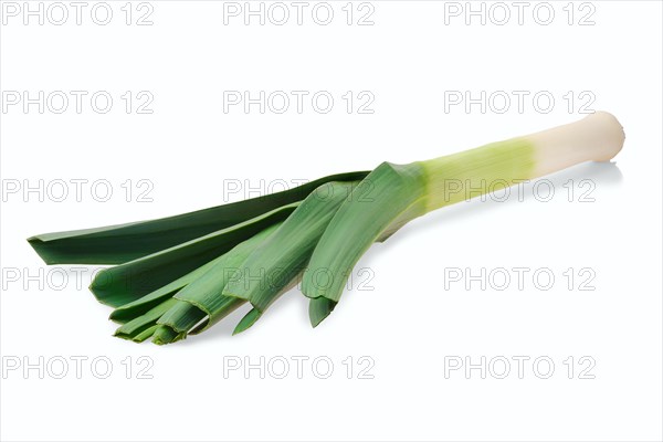 Fresh leek isolated on white background