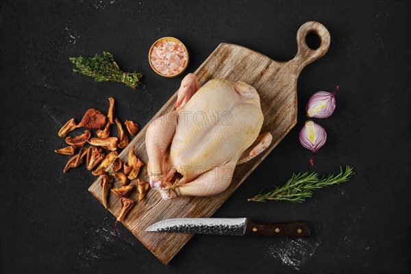 Raw whole broiler chicken with spices on wooden cutting board