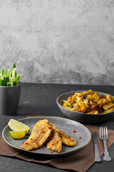 Plate with fried breaded hake fillet with spice and roasted potato wedges