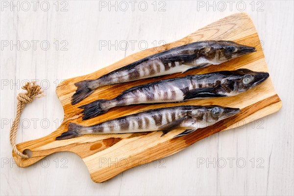 Top view of raw fresh icefish on wooden cutting board