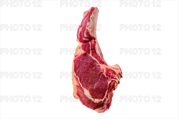 Beef ribeye steak bone-in isolated on white background