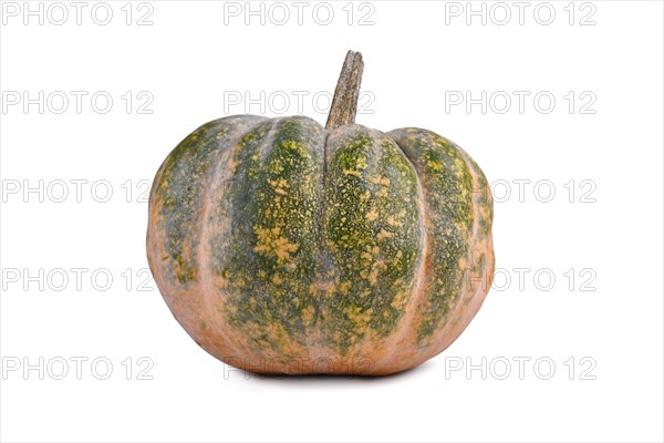 Single green and orange 'Musquee de Provence' pumpkin on white background