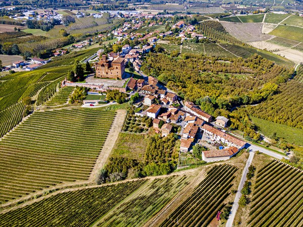 Aerials of the wineyards around Castle of Grinzane Cavour