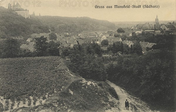 Mansfeld Castle in the Harz Mountains