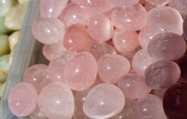 Tumbled Rose Quartz gem stone as mineral rock specimen