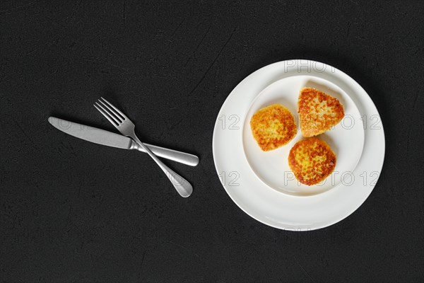 Top view of fried squid cutlet in breading on a plate