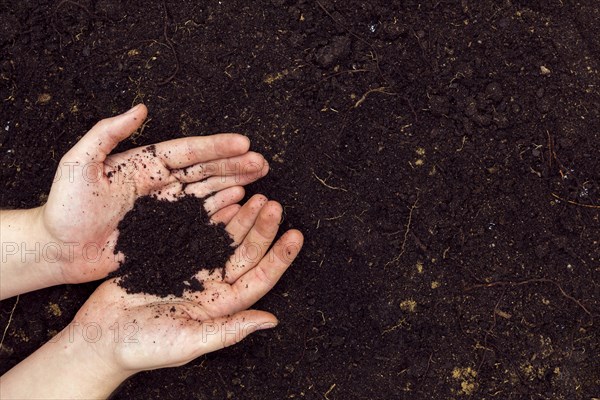 Flat lay hands with soil copy space