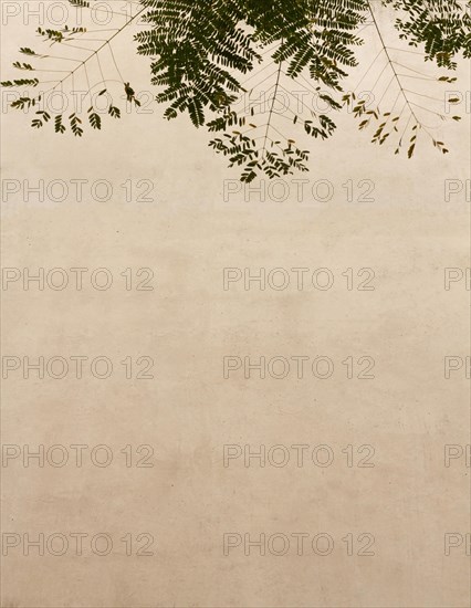 Natural leaves copy space wall background