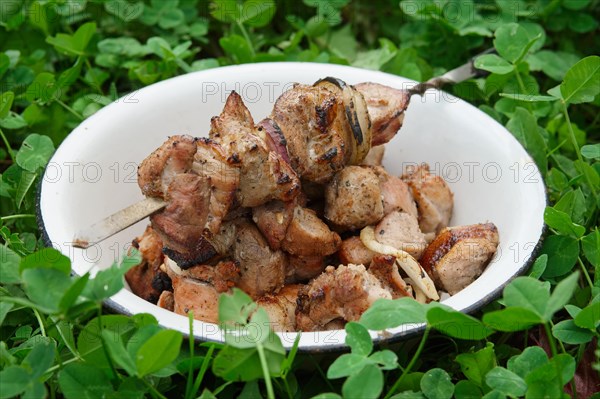 Plate with ready shashlik on the ground