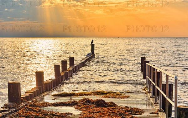 Groynes in the morning light