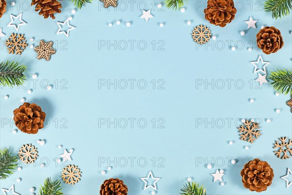 Winter border with fir cones and branches