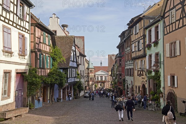 Colourful half-timbered houses in the historic old town of Riquewihr