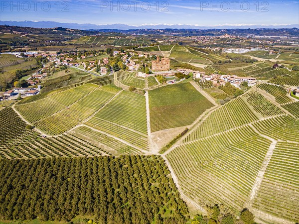 Aerials of the wineyards around Castle of Grinzane Cavour