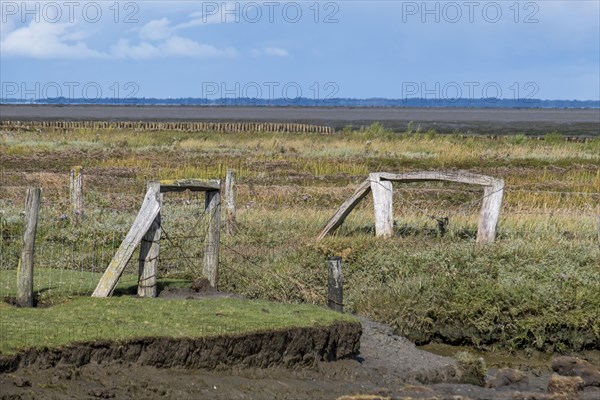 Landscape North Sea islandFoehr