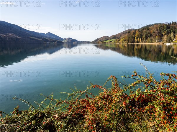 Fuschlsee in autumn