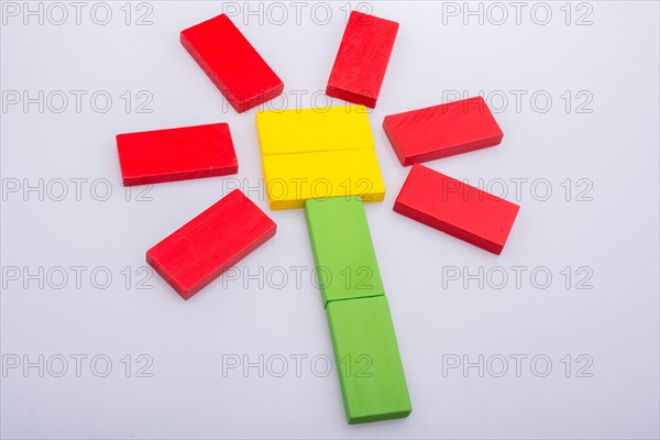 Colorful domino pices are forming a flower shape