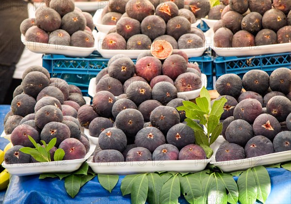Ripe fig fruits seen in the market place