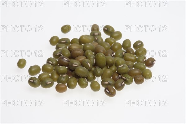 Mung bean