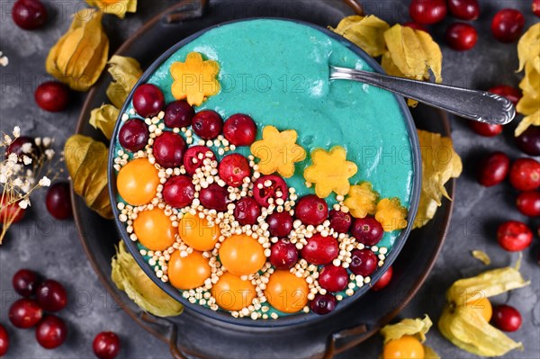 Fruit smoothie bowl with healthy natural green spirulina powder decorated with cranberries