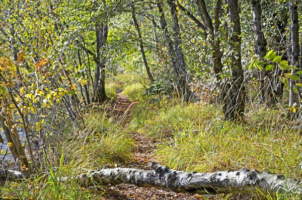 Hiking trail