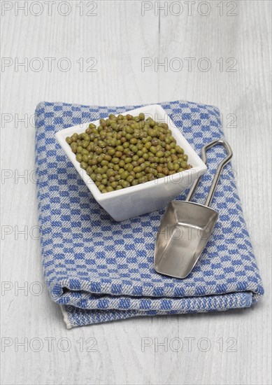 Mung bean