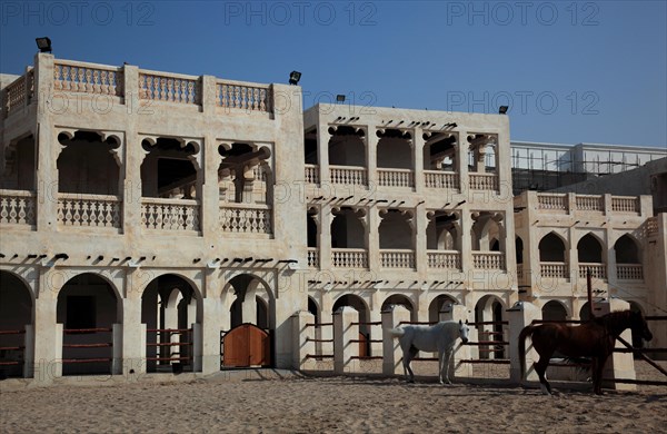 Arabian horse breeding stables in Al Jasra