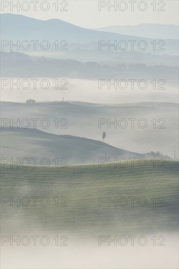 Landscape at sunrise around Volterra