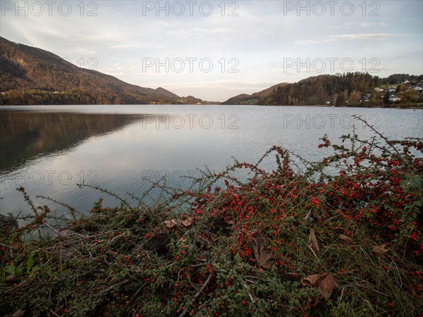 Morning atmosphere at Lake Fuschl