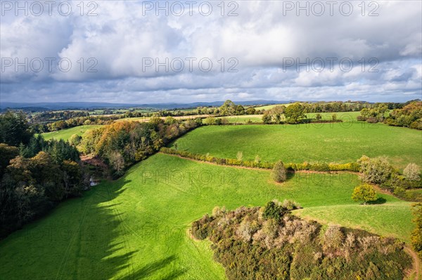 Forests and Farms over Berry Pomeroy