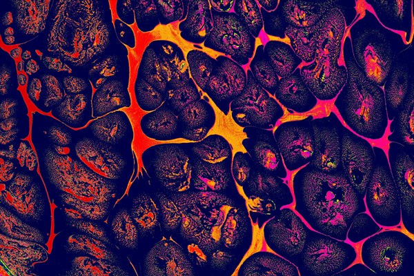 Ebru marbling handmade art