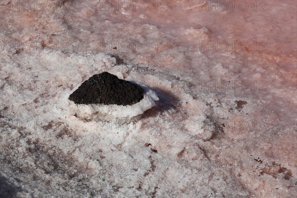 The Salinas de Janubio