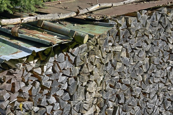 Woodpile in autumnal Ostrachtal