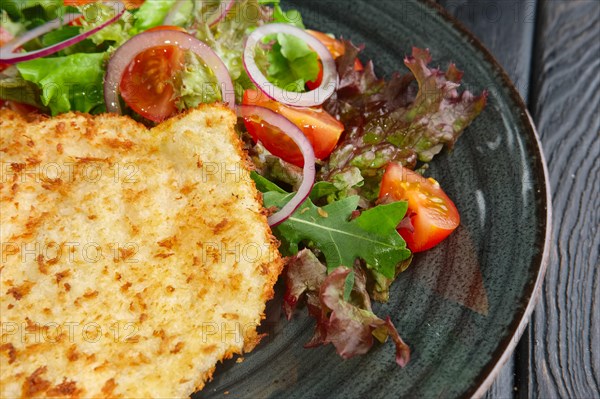 Closeup view of schnitzel in breading with fresh vegetables and rings of red onion