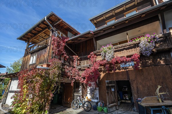 Wooden house with floral decoration and vegetation of widem vine