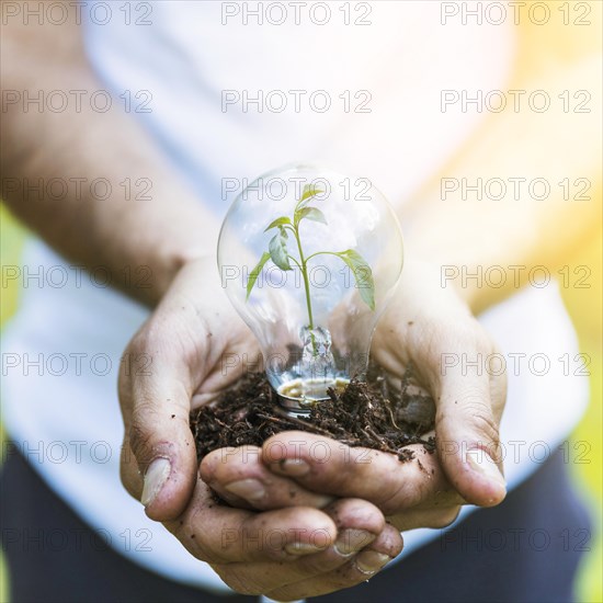 Faceless man keeping bulb with plant