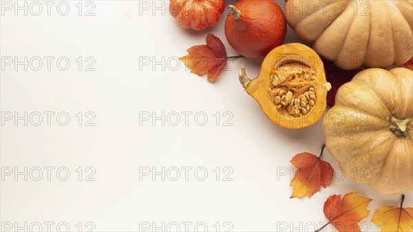 Flat lay frame with pumpkins white background